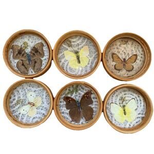 Vtg Pressed Real Butterfly Round Drink Coasters Bamboo Set Of 6